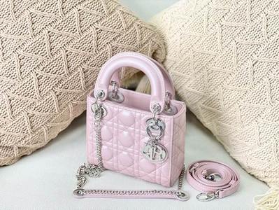 DIOR Handbags 403